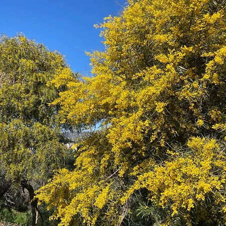 Lovely Ground Floor נרחה