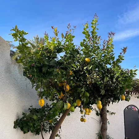 Lovely Ground Floor Apartman *