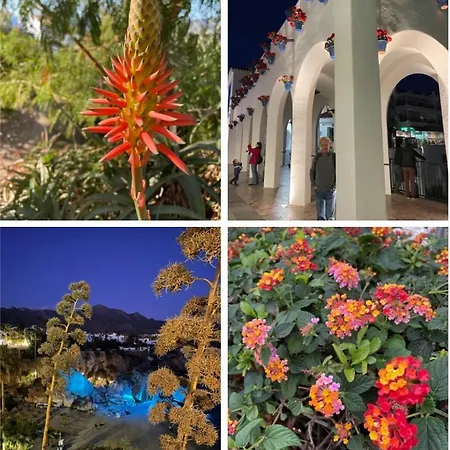 Apartmán Lovely Ground Floor *