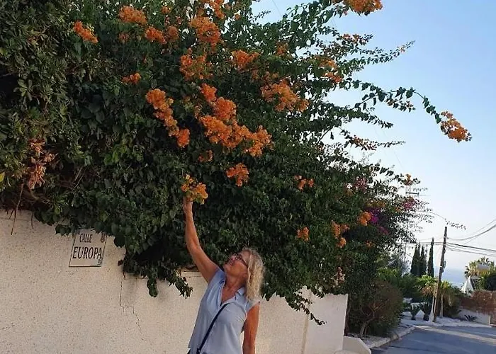 Apartment Lovely Ground Floor *