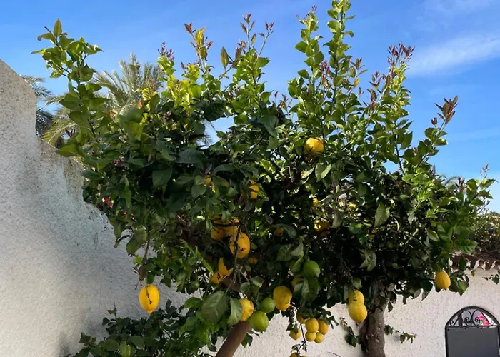 Lovely Ground Floor Apartment *