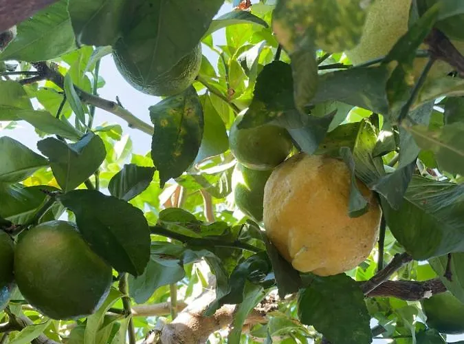 Lovely Ground Floor アパート *