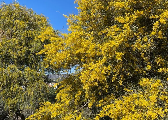 Lovely Ground Floor ネルハ