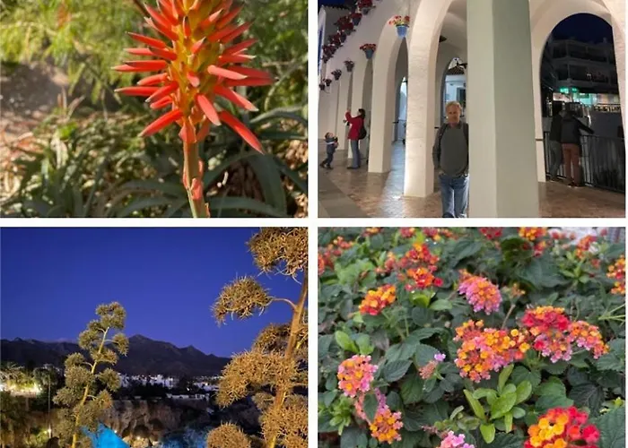 アパート Lovely Ground Floor *